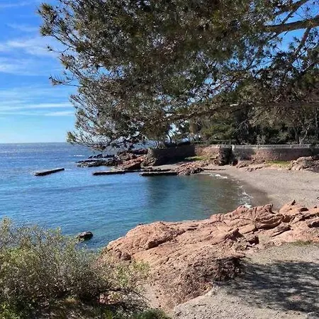 Lejlighed Appart Chelsea 4px Piscine Acces Plage *